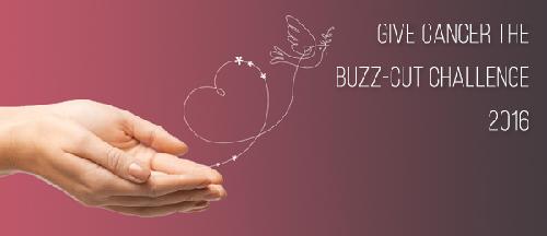 Marche du reve - 2026